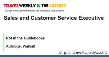 Not in the Guidebooks: Sales and Customer Service Executive