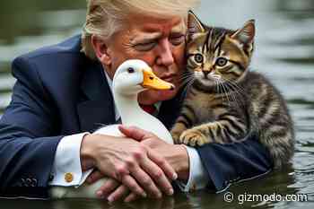 Trump Supporters Flood Social Media With Viral Hoax About Migrants Eating Cats and Ducks