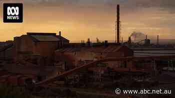 Sources raise alarm on 'pathetic' conditions and safety concerns at Whyalla Steelworks as owner says it is cutting costs amid steel price slump