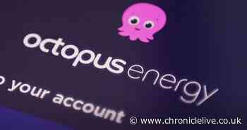 Octopus Energy message to customers on £149 UK energy price cap rise