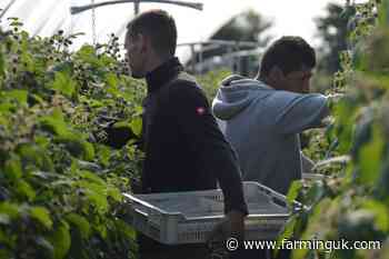 Workers&#39; group slams &#39;shockingly poor&#39; farm accommodation standards