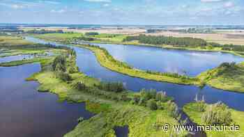 Perle in Mecklenburg-Vorpommern: Der „Amazonas des Nordens“ als Geheimtipp für Naturliebhaber