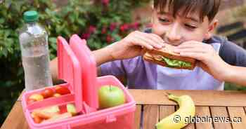 Back-to-school lunches: Dietitian tips for avoiding ultra-processed foods