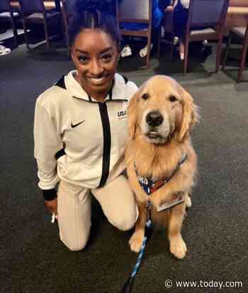 Hospitalized US Olympic gymnastics therapy dog goes home as owner awaits diagnosis