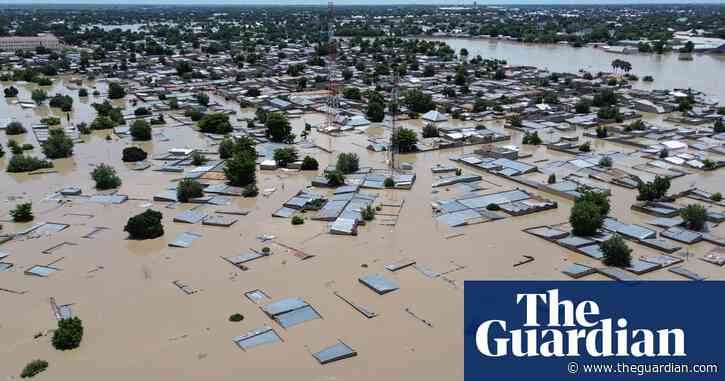 Crocodiles and snakes ‘washed into communities’ as flood hits Nigerian zoo