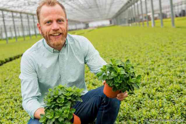 Dertigste editie van Plantjesweekend Kom op tegen Kanker: “Zelfs speciale jubileumplantjes met drie kleuren per pot”