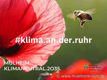 Anlaufstelle #klima.an.der.ruhr eröffnet am 25. September im Technischen Rathaus