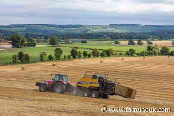 Farmers asked to vote to ratify nine new AHDB appointments