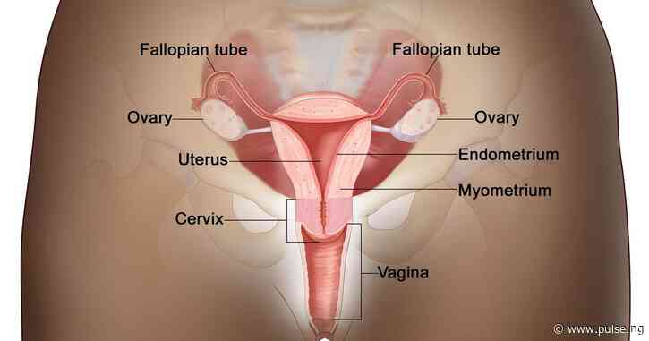 8 early signs of cervical cancer most women ignore