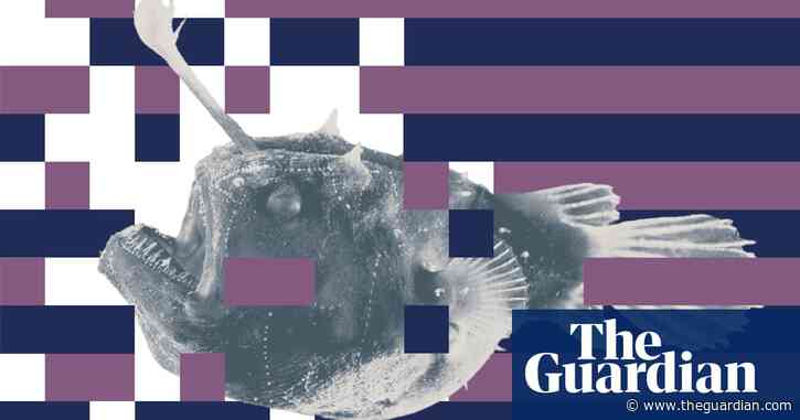 Do you dream of becoming one with your partner? The deep-sea anglerfish shows how badly that can end