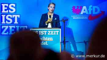 AfD-Chefin Weidel hofft mit Brandenburg-Wahl auf Zäsur