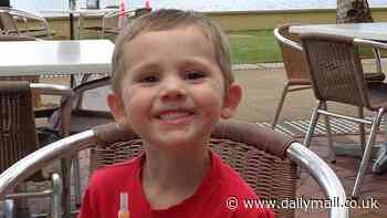 William Tyrrell vanished 10 years ago. Now there's hope Aussies could soon be given answers to his disappearance