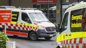 Young girl dies after being hit by car at East Lismore