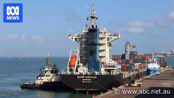 Cotton bales set sail from Darwin Port in major milestone for new Katherine gin