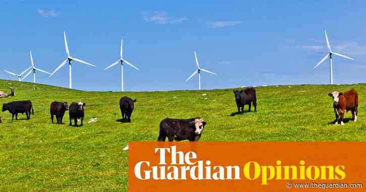 Don’t eat up the claim, peddled by the Coalition and conservative media, that greenies are ‘coming for your steak’  | Temperature Check