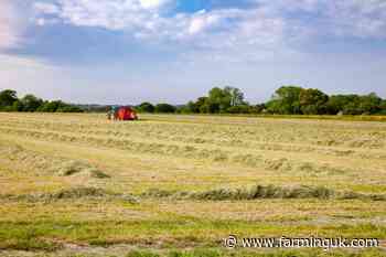 Nearly half of farmers not taking enough time off, survey shows