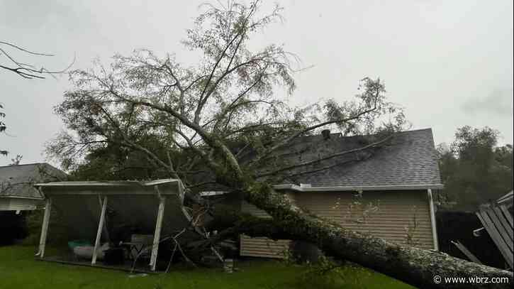 'I'm just thanking God:' Woman details moments when tree fell on Prairieville home