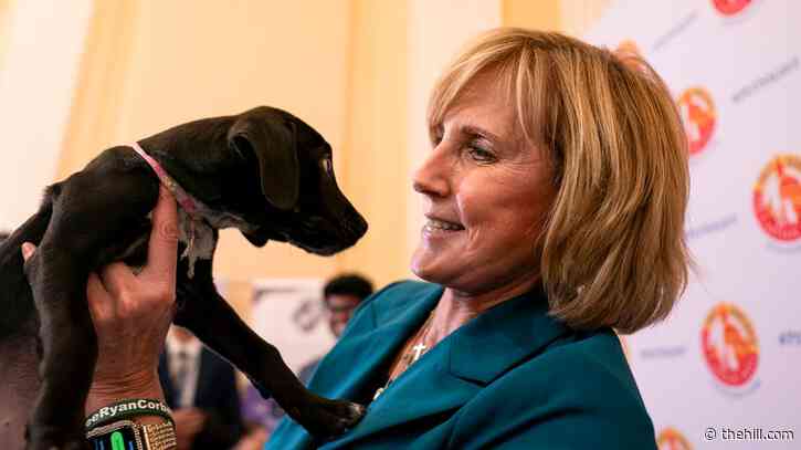 Dogs descend on Capitol for Pet Night