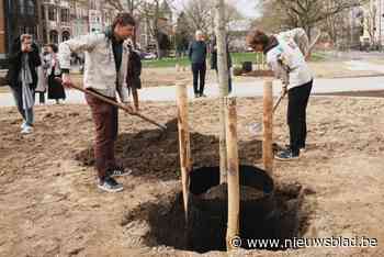 Stad deelt 500 bomen uit die de Gentenaars in hun tuin mogen planten: “Dat is nodig om ons doel te bereiken”