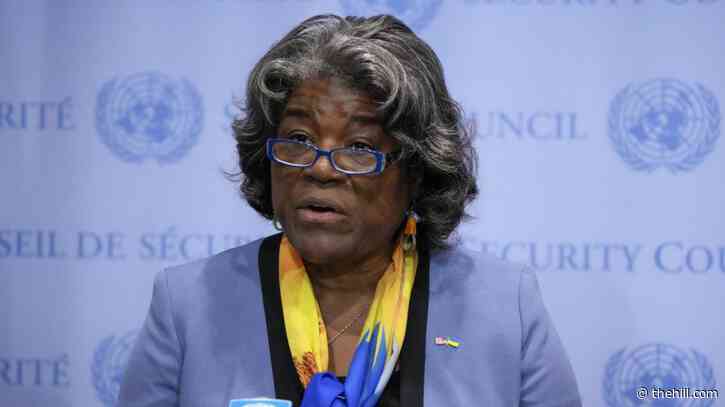 US proposes two permanent seats for Africa on UN Security Council