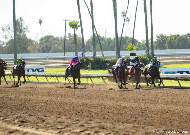 Horse racing notes: Los Al thoroughbred stakes tests Man O Rose