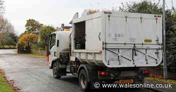 Welsh binmen 'caught on camera throwing recyclable batteries into hedges'