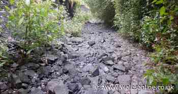 The water from a stretch of river has disappeared and experts are now investigating why