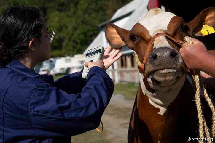 Animals arrive for annual Tunbridge World’s Fair