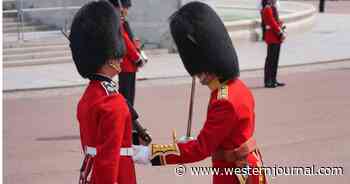 PETA Gets Reality Check After Targeting Buckingham Palace Guards' Bearskin Caps