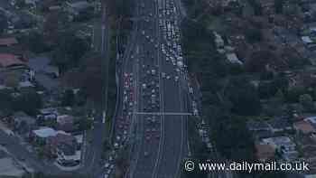 Peak-hour traffic delays in Sydney as multiple lanes on the M4 motorway are closed for police operation