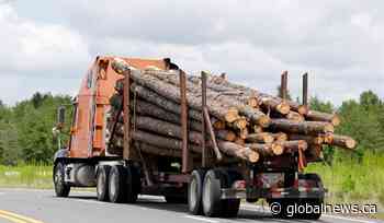 Saskatchewan government issues new timber allocations to support upstart mill