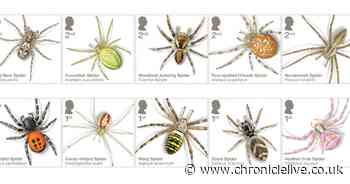 Royal Mail unveils 10 special stamps with stunning images of spiders found in UK