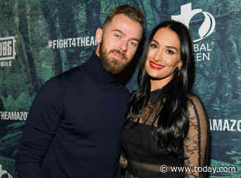 Former WWE star Nikki Garcia files for divorce from Artem Chigvintsev