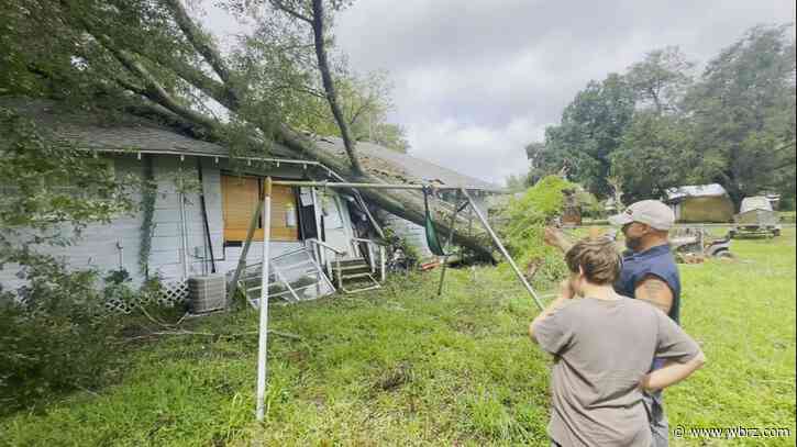 Gonzales family had to break out of house after fallen tree traps them