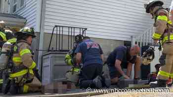 Cat dead, several animals rescued after fire in Stamford