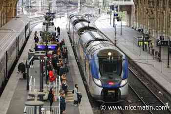 "C'est inacceptable": la circulation des trains fortement impactée pendant des mois sur les lignes Nice-Tende et Nice-Vintimille à cause de travaux d'ampleur