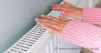 Turning on heating can cause common conditions to worsen and 'trigger allergies'