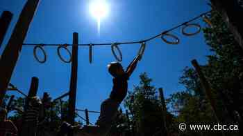 Are playgrounds too safe? Why anthropologists say kids need to monkey around