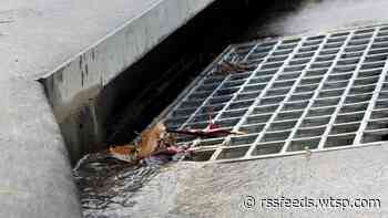 Tampa discusses work to keep storm drains clear amid recent heavy rainfall