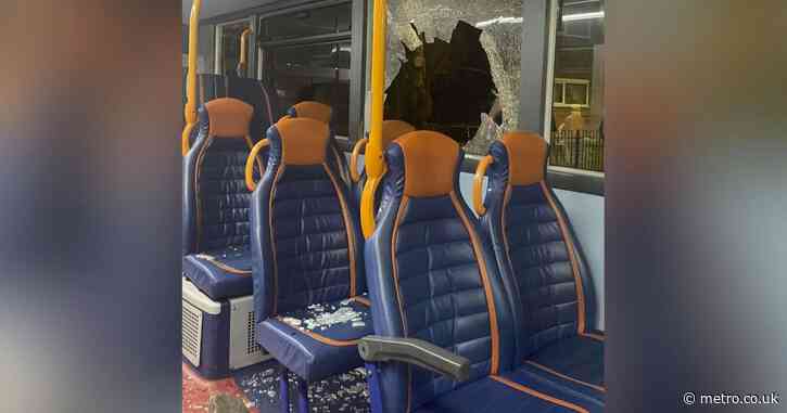 Woman suffers horrific facial injuries after brick hurled through bus window