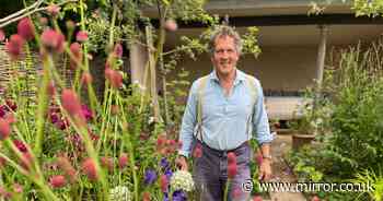 Monty Don urges gardeners to do ‘10 minutes of work now’ for beautiful roses