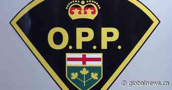 Ontario woman facing weapon charge says she was playing with a water gun