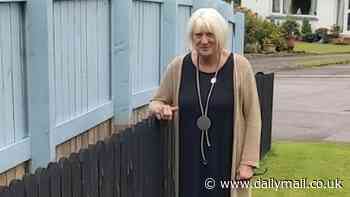 It's fence wars! Feuding neighbours build rival wooden barriers between their gardens after falling out over a lawnmower and hedge trimming