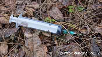 Needle prick horror after young girl found discarded syringe at Roebuck Primary School in Western Australia