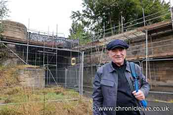 Call to protect historic Newcastle railway station after wall collapse fears