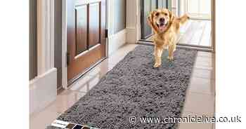 Dog owners praise £34 Amazon door mat that's ideal for trapping mud from boots and pet paws