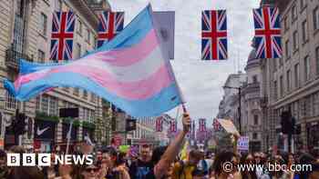 Census may have overestimated number of trans people in England and Wales