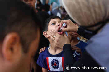 More than 550,000 Gazan children have received the polio vaccine