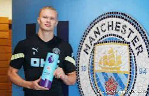 Haaland, Hurzeler Win EPL Player, Manager Of The Month Award For August