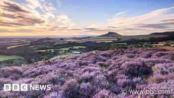 National parkland in public hands 'would help nature'